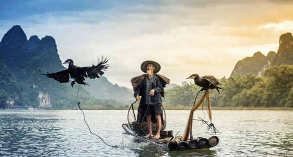 Yangshuo Day Tour Including Li River and West Street