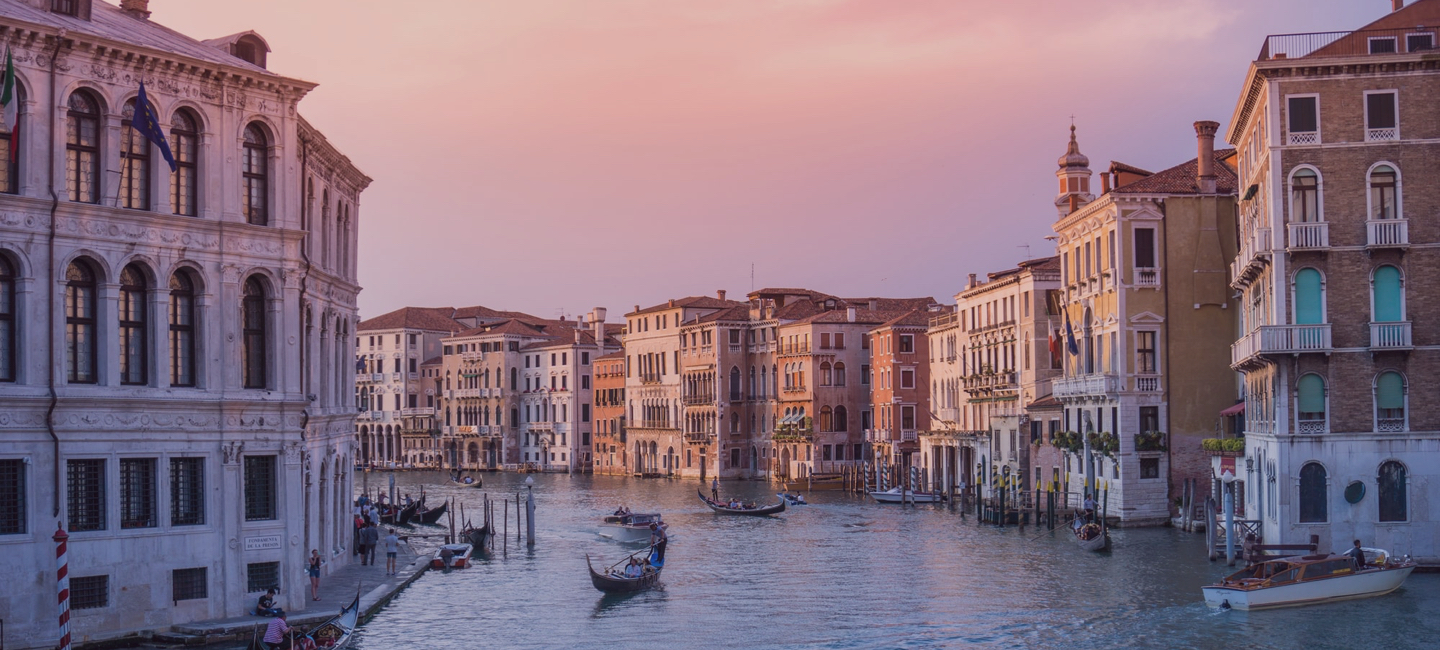 纽约：现代艺术博物馆